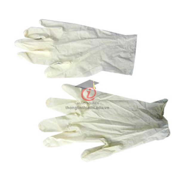 Khẩu trang, găng tay (CSSH2123)